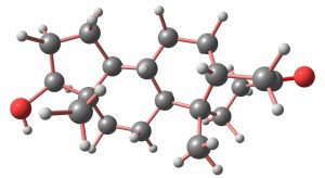 dihydrotestosterone